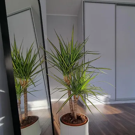 2 Pokoje, Blisko Morza, Ogrodek, Garaz, Kameralne * Gdańsk