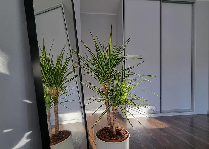 2 Pokoje, Blisko Morza, Ogrodek, Garaz, Kameralne * Danzig